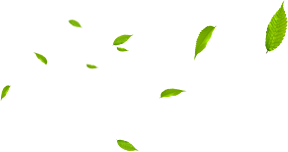 立足園區(qū)，綜合開發(fā)，智慧運(yùn)營(yíng)，助力雙碳